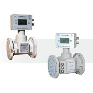 Pua Ultrasonic Flow Meter